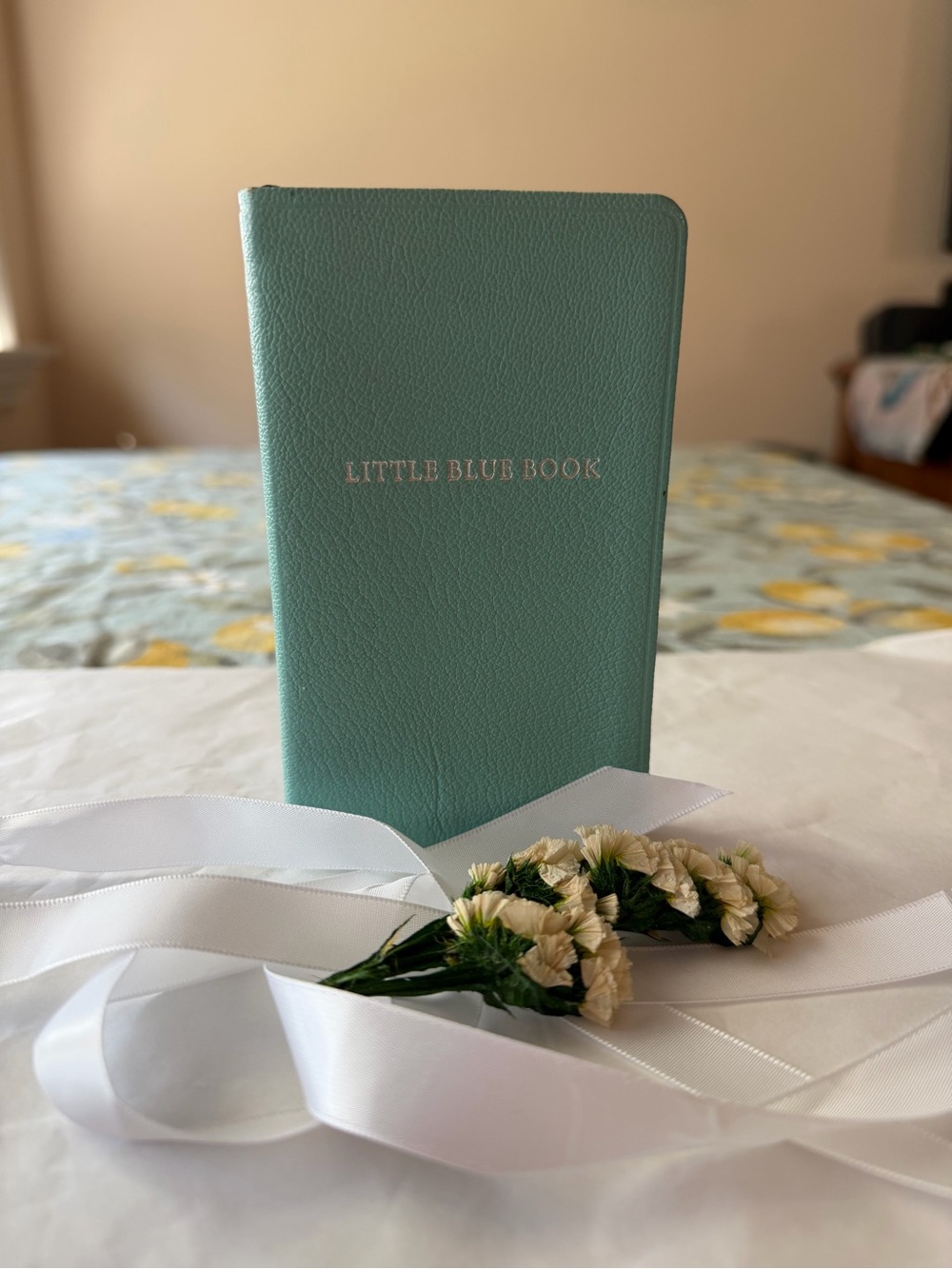 🌷TIFFANY & CO. LITTLE BLUE BOOK 🌷 NWOT 🌷